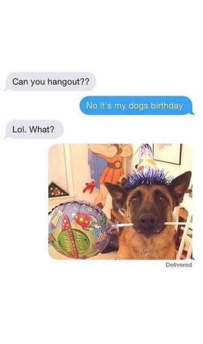 FB_IMG_1749417418640