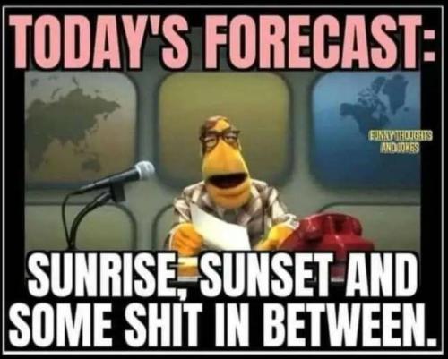 f2072dd36734995aa699ebb57ddaa6f2