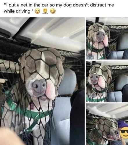 FB_IMG_1749322924703