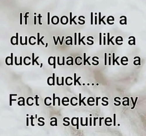 its a squirell