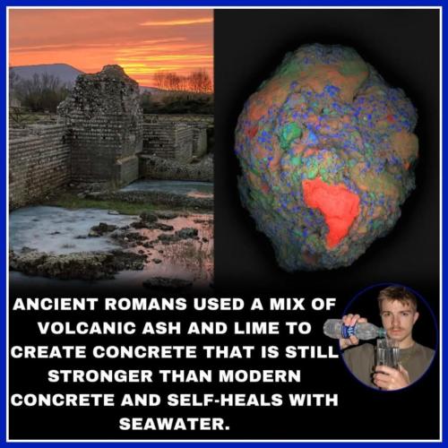 a95a1081-9d0e-4a23-8d1c-6ed364557b24