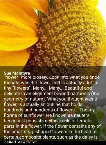 15:41:02 GMT-0500 (CDT)