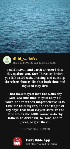 2025-06-071749352303265