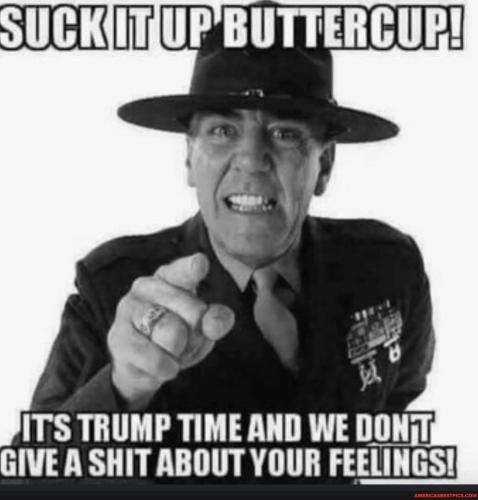 0c4f6561f4a4fcde111d969c53bc30ce13d4a246c419437820732edaec35367c_1