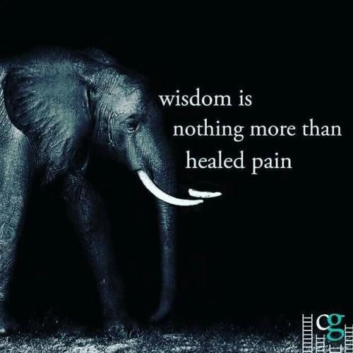 8ea0a3ddc45a688293bc4cf47b07e17a