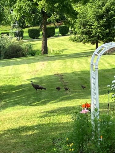 6A26351F-8771-4ACD-A622-4C21D6572359