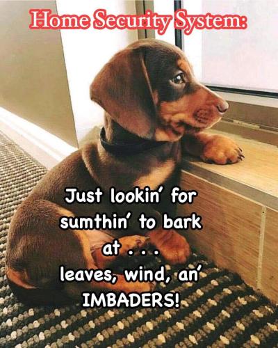 FB_IMG_1749131706704