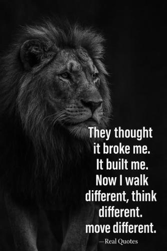 491043869_122162183720365267_3354435546341028703_n