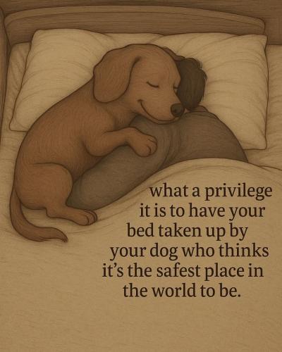 FB_IMG_1748779808046