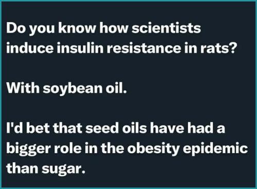 508524882_24062897519990016_3706876357541224035_n