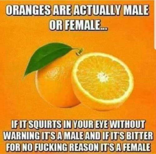 image_CA7726F8-CE55-42DD-ADE0-58FD2CA25B5D