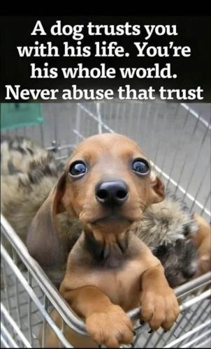 728d58858c2bf04cb5a035c611c1eb6a