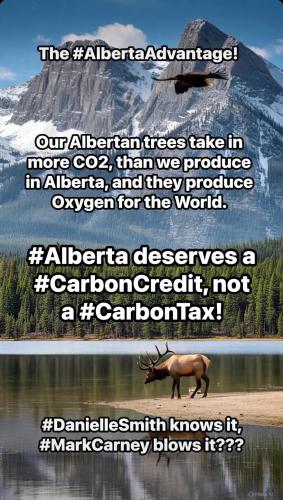 FB_IMG_1749666934414