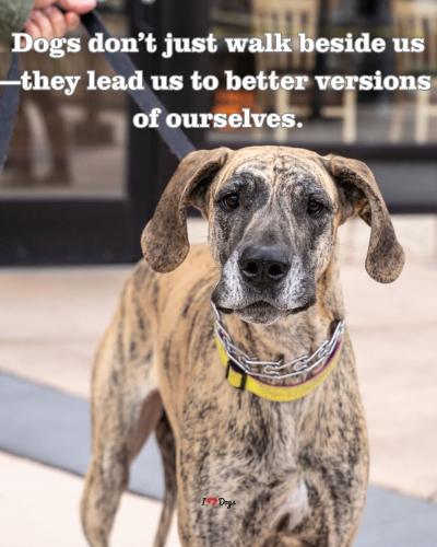 FB_IMG_1750873580624