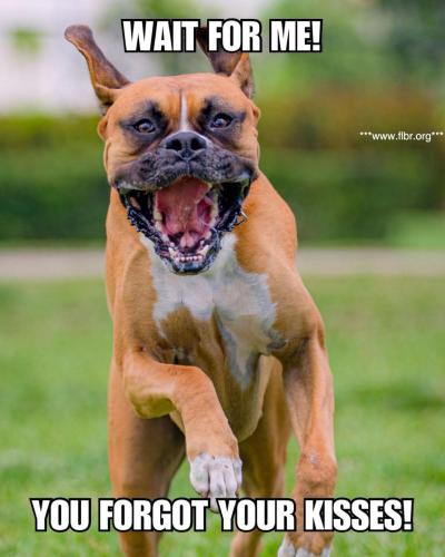 FB_IMG_1749085872964