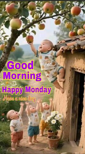 FB_IMG_1750018937616