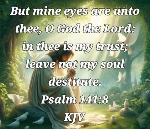 479ffcc4-557a-49ae-8a25-63b7daab4f68