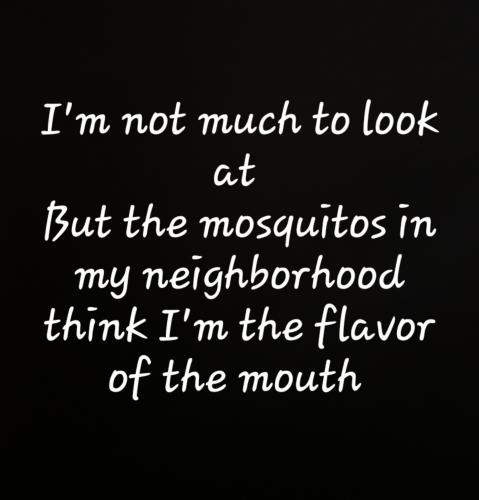 510471515_1260377728789692_647446188791086681_n