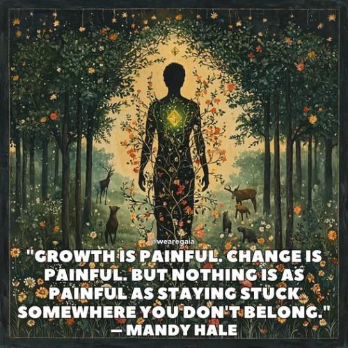 499600309_727697503479778_3627041430364787033_n