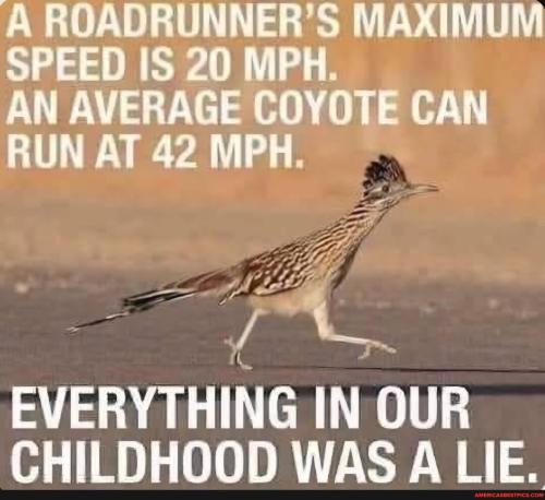 9a0fca4146c73d7a60bdca3a1f4be4afaed8b381938a97c8744585f70637a950_1