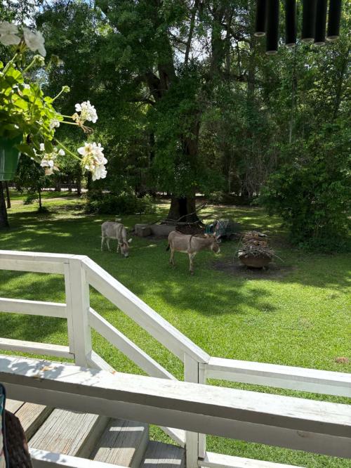 FF52DE36-413E-402F-A77A-ABA20A86DC4F