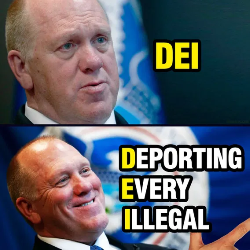 image_2025-06-08_101038781