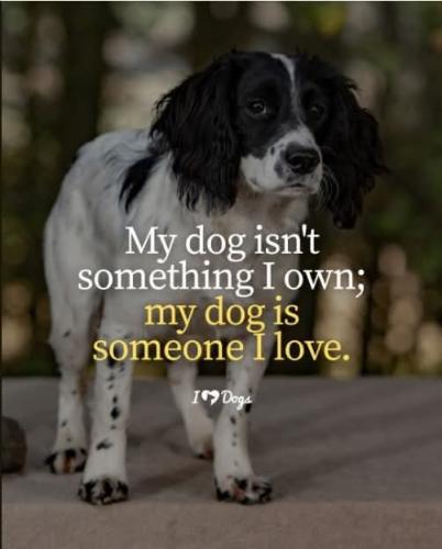 FB_IMG_1750539601760