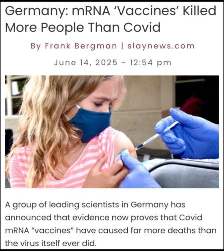 E683EDD4-E7B6-438C-98E2-A868C6471610