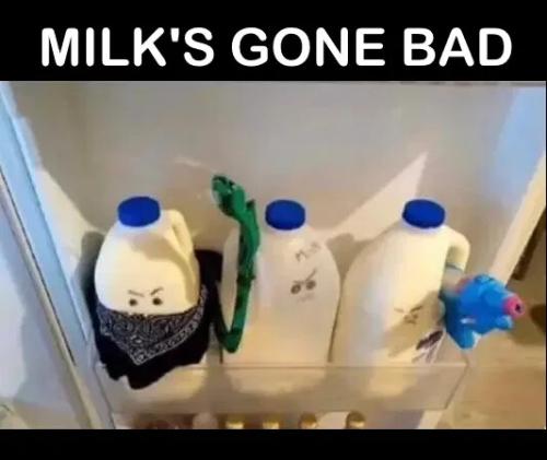 milks-gone-bad