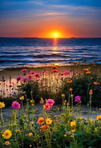 21:37:36 GMT-0400 (Eastern Daylight Time).image