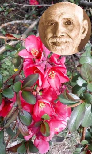 ,   417721513_10231757576