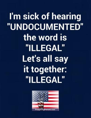 Undocumented