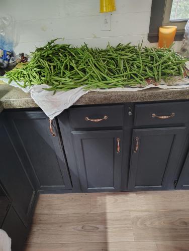 IMG_20250617_142901668_HDR