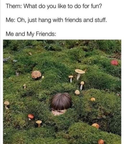 510984357_711282671609809_1176159411761773230_n