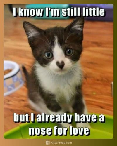 FB_IMG_1749394274328