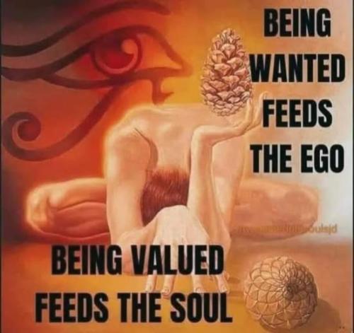 509278578_122259255818023788_3602951634166685363_n