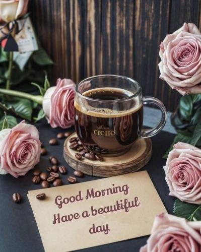 FB_IMG_1750231319593