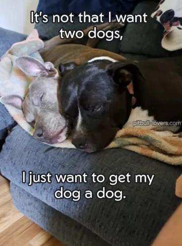 FB_IMG_1750463721659