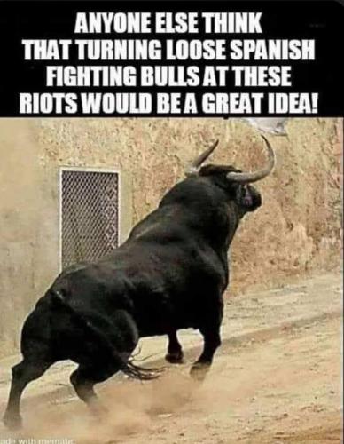 FB_IMG_1750000346840