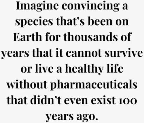 image_2025-06-16_065232963