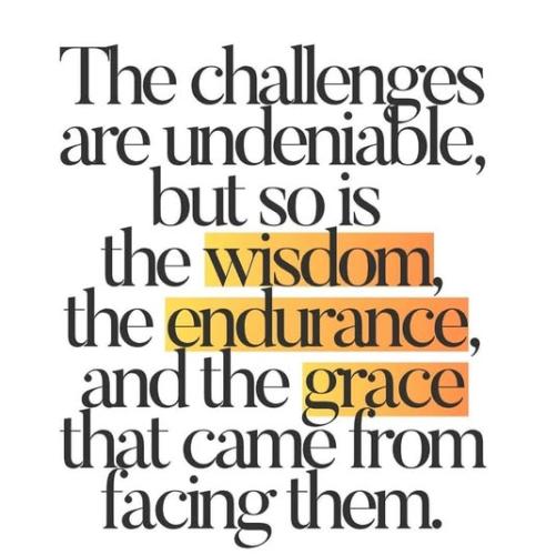 511994868_744469971439264_6079829212049122821_n