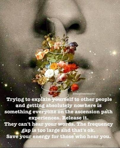 505581593_10231842168731618_6563406698732582136_n