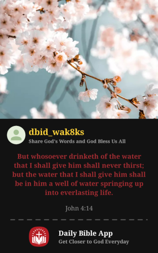 2025-06-171750136919225