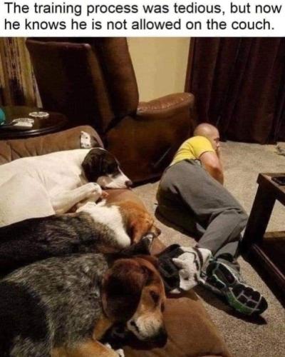 Screenshot_20250615_093017_Gallery