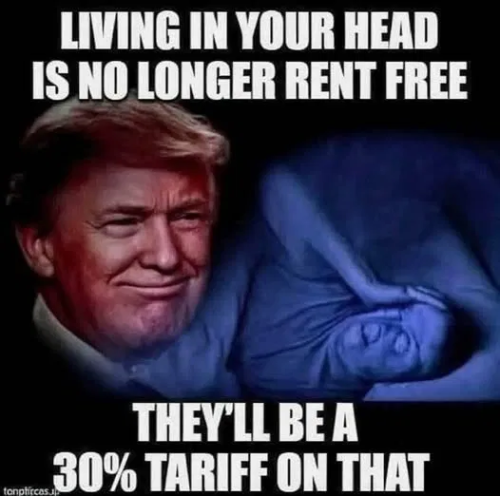 image_2025-06-30_062500516