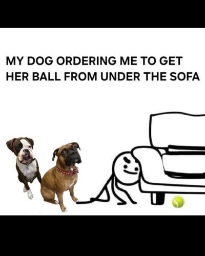 FB_IMG_1748708468988