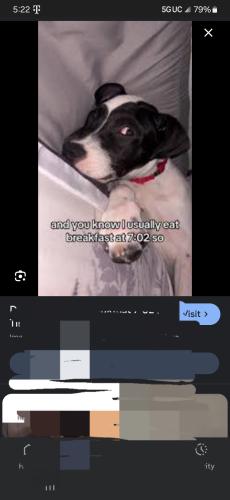 Screenshot_20250626_052252_Google