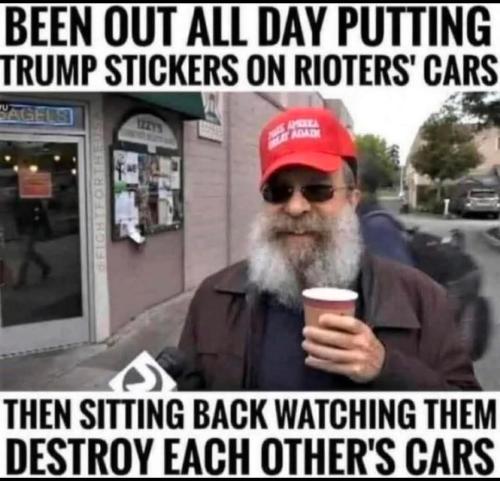 7931af69-7afc-46fd-8bf7-551b9b2a4f00