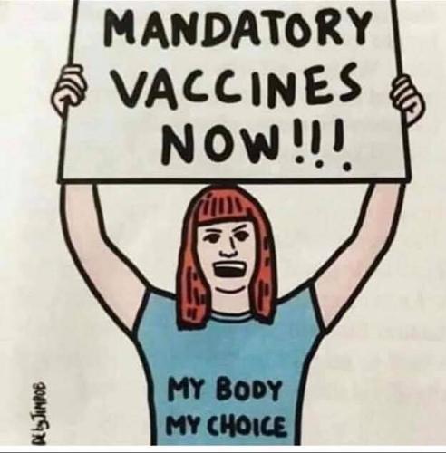 FB_IMG_1750967037314