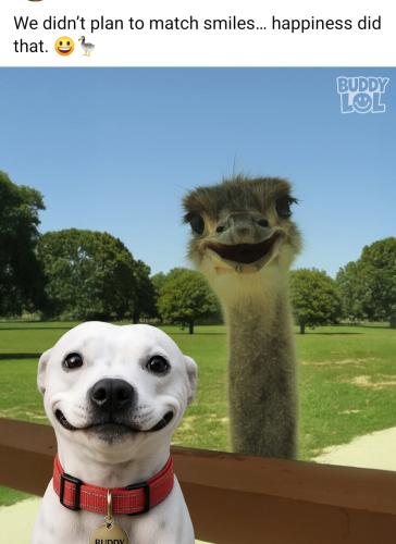 Screenshot_20250617_061051_Facebook_resized